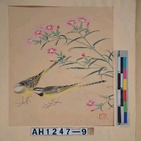 藏品(昭和11年『翠光花鳥版畫集』－河原撫子黃鶺鴒)的圖片